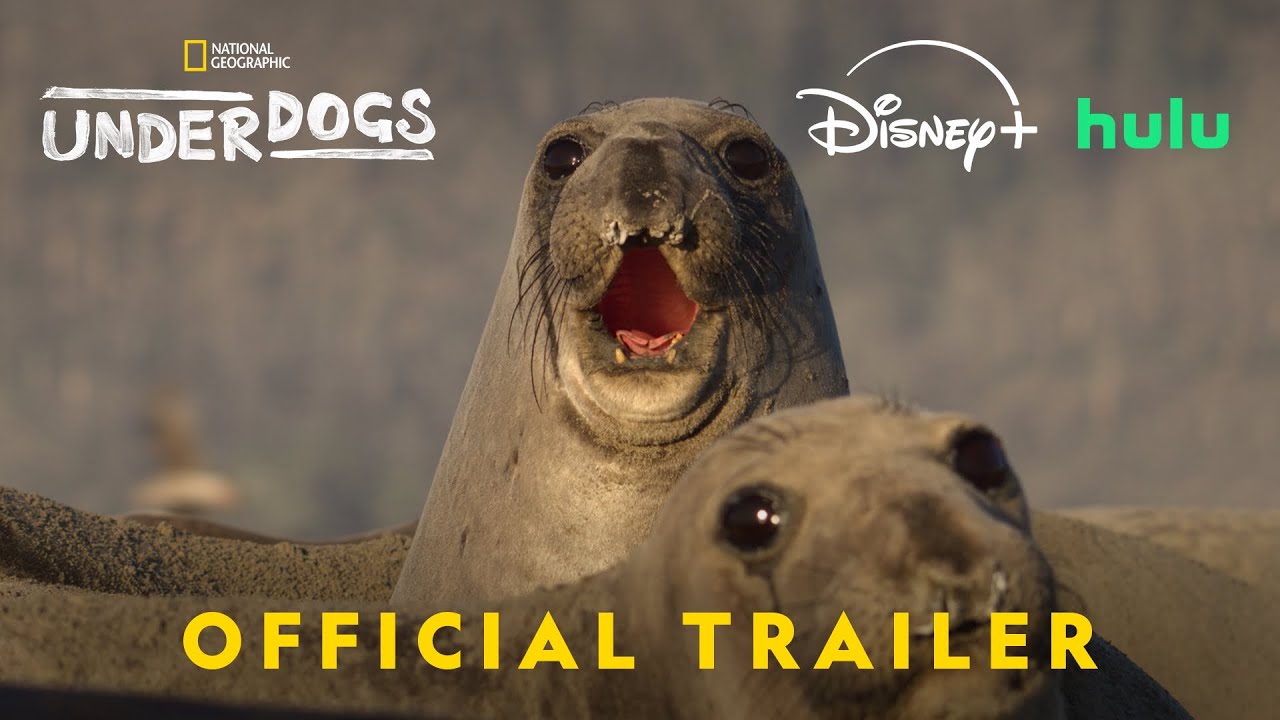 Underdogs on NatGeo | Official Trailer