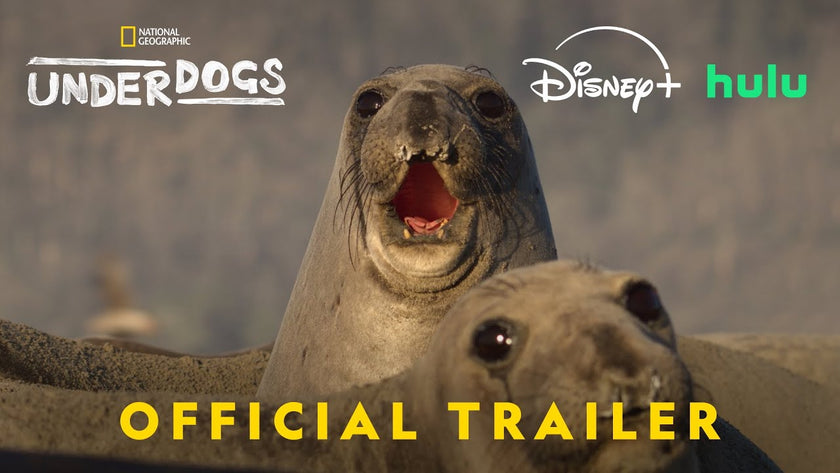 Underdogs on NatGeo | Official Trailer