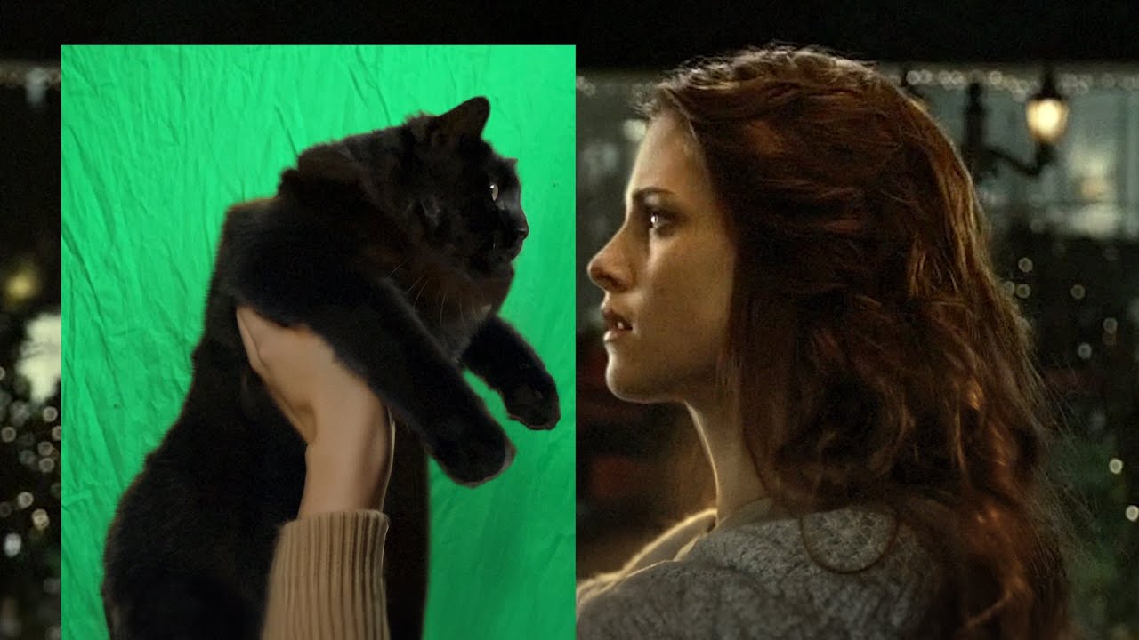 Twilight with a Cat (Behind the Scenes)