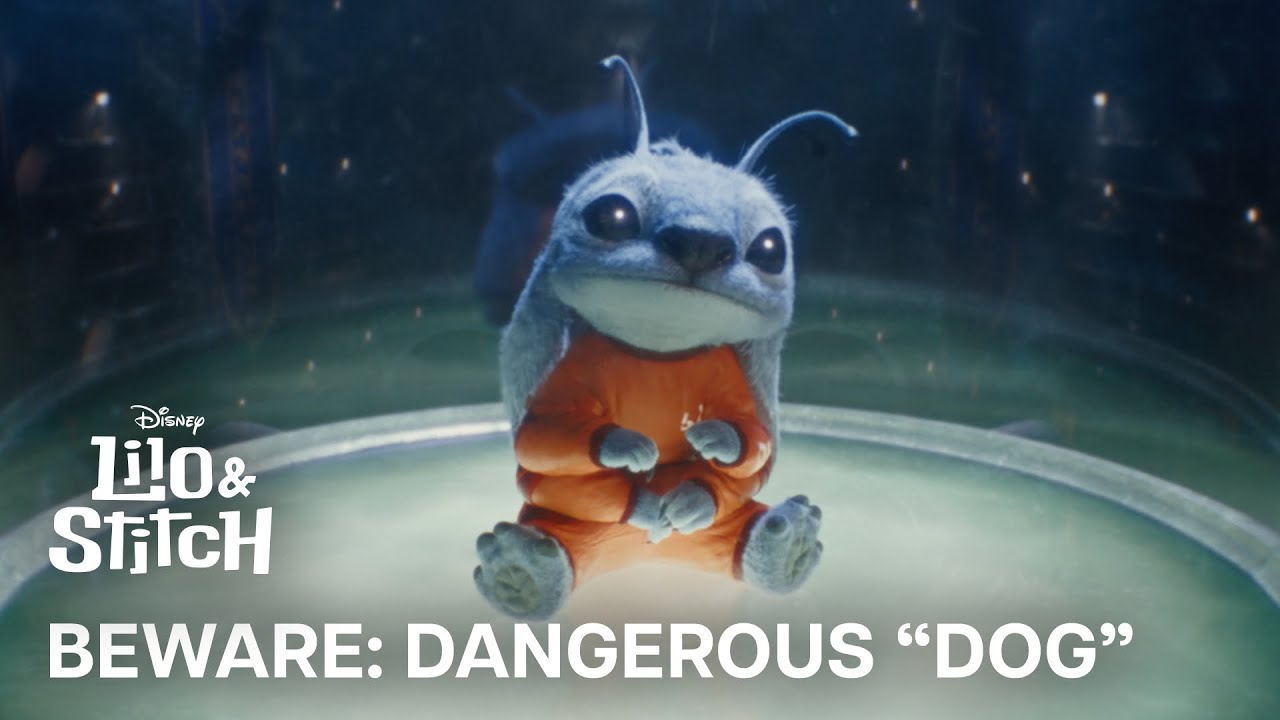 Disney's Lilo & Stitch | Beware: Dangerous "Dog"