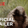 Pangolin: Kulu’s Journey | Official Trailer