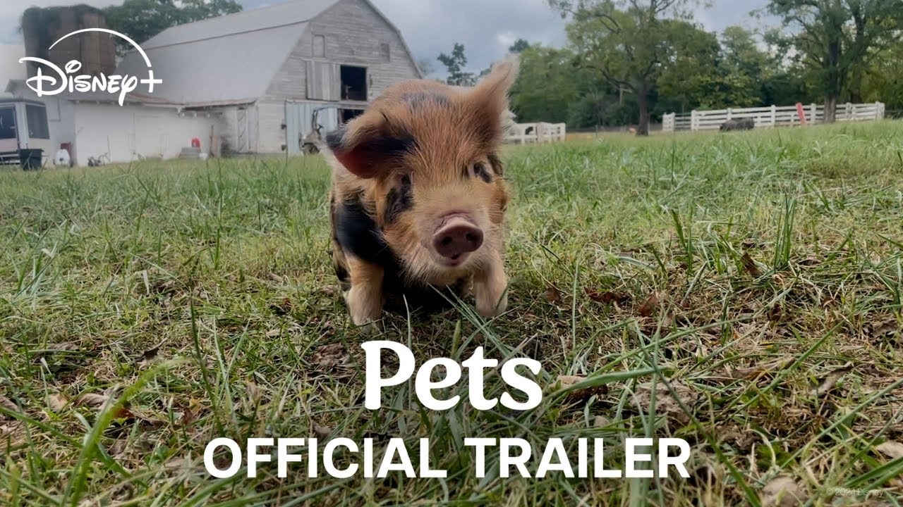 Pets | Official Trailer