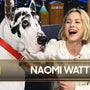 Naomi Watts Invites Jimmy to Perform a Song