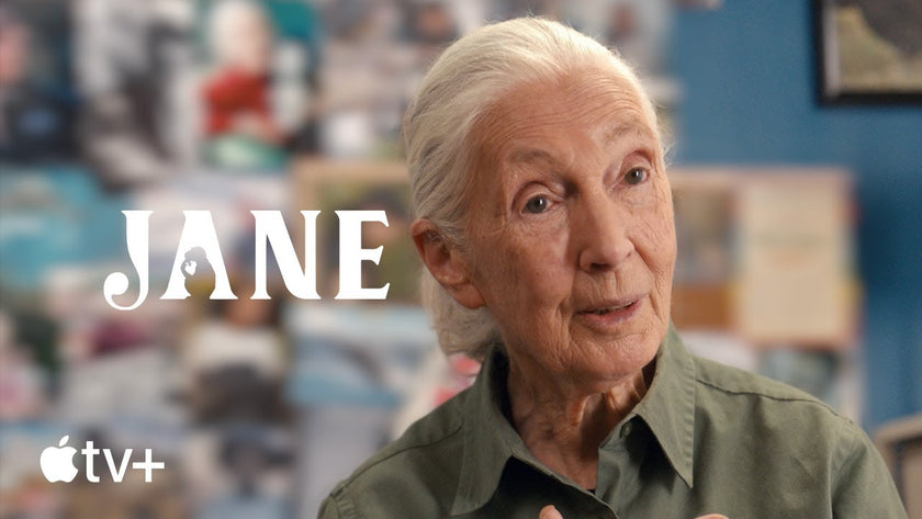Dr. Jane Goodall: A Legacy of Hope and Inspiration