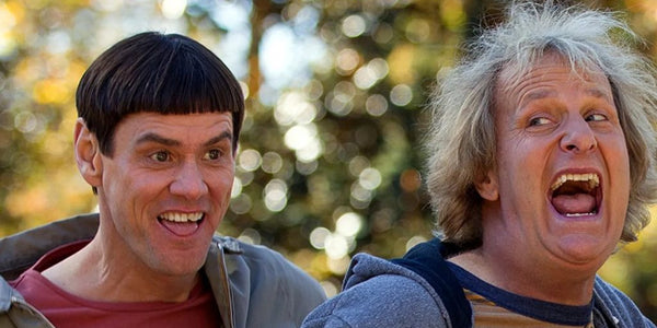 Jim Carrey and Jeff Daniels Might Return for Dumb and Dumber 3!