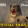 Underdogs on NatGeo | Official Trailer