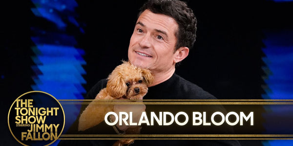 Orlando Bloom Shows Off His Puppy Biggie Smalls