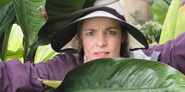 SEND HELP | Survivor | In Theaters January 30