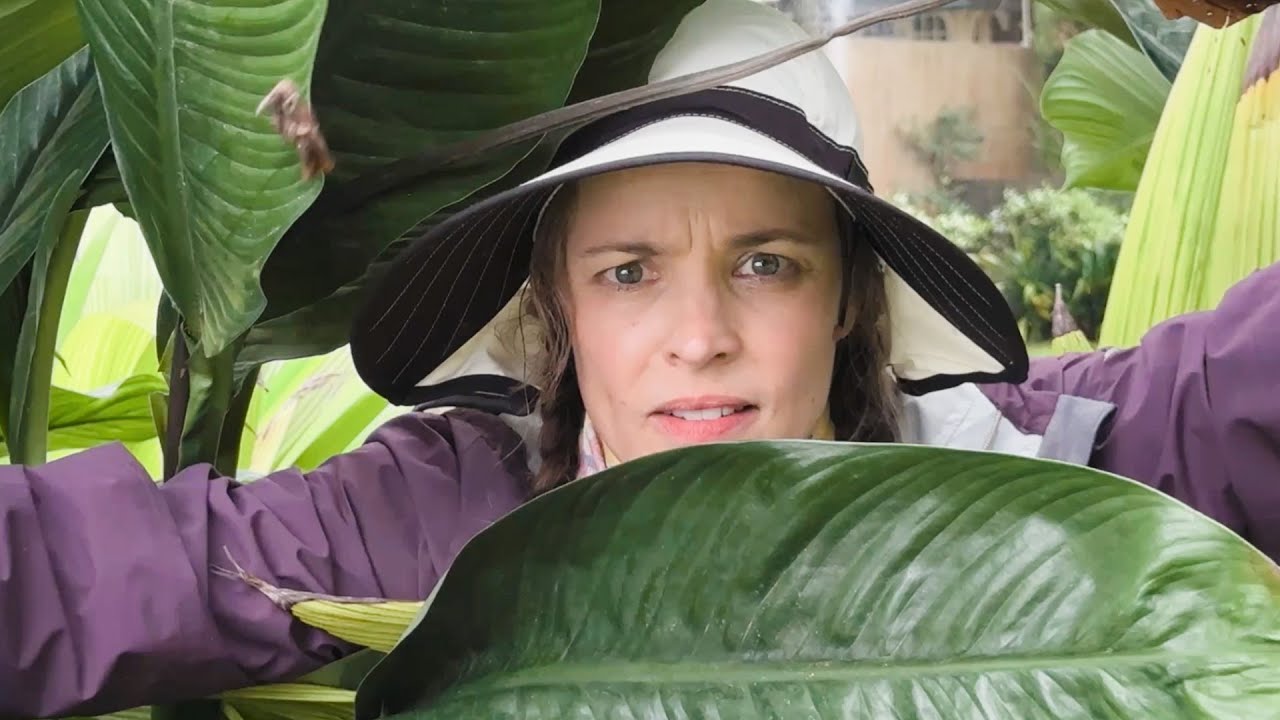 SEND HELP | Survivor | In Theaters January 30