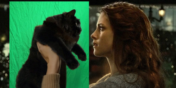 Twilight with a Cat (Behind the Scenes)