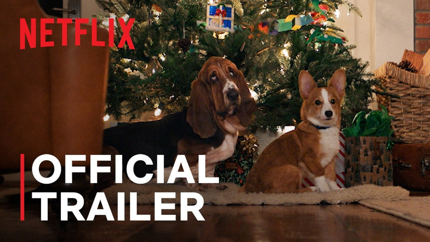 A Dog’s Perfect Christmas Lets the Pets Save the Holidays