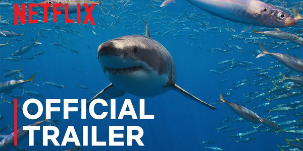 All the Sharks | Official Trailer