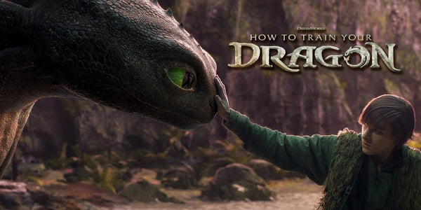 How To Train Your Dragon | Warrior