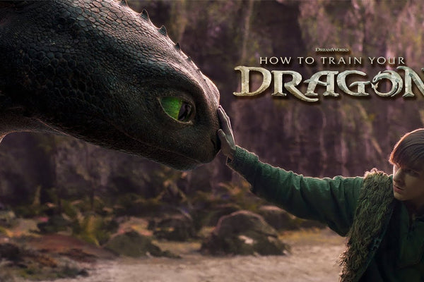 How To Train Your Dragon | Warrior