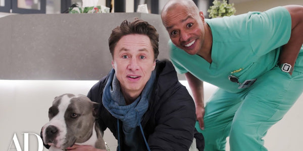 Inside The Rebuilt Scrubs Hospital With Zach Braff, Donald Faison, and Sarah Chalke