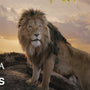 Mufasa: The Lion King | Rivals