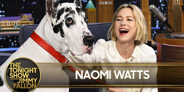 Naomi Watts Invites Jimmy to Perform a Song