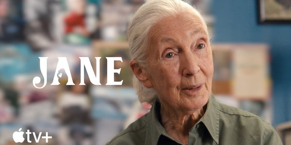 Dr. Jane Goodall: A Legacy of Hope and Inspiration
