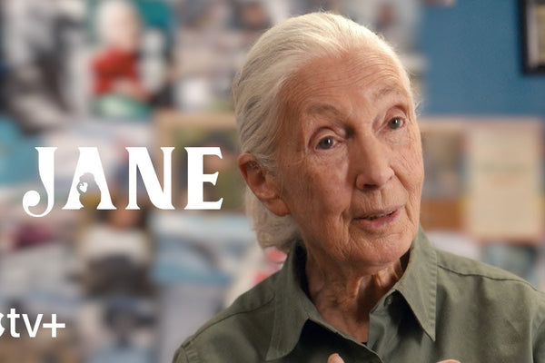 Dr. Jane Goodall: A Legacy of Hope and Inspiration