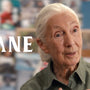 Dr. Jane Goodall: A Legacy of Hope and Inspiration