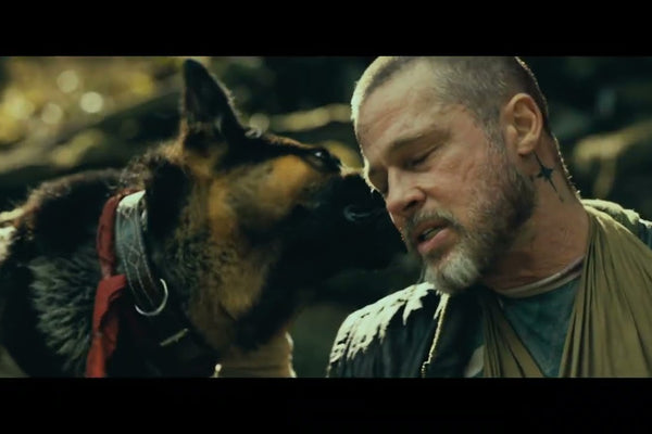 Heart of the Beast “Strength” Clip Shows Brad Pitt and Odin Fighting to Survive Together