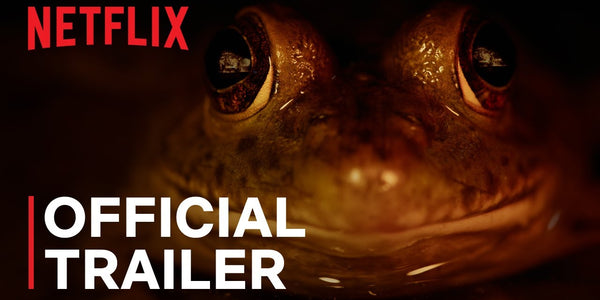 Nightmares of Nature | Official Trailer