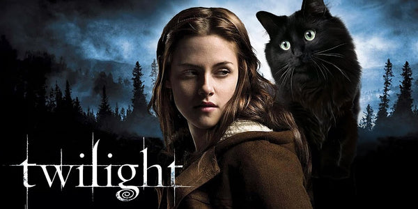 Twilight (with a cat)