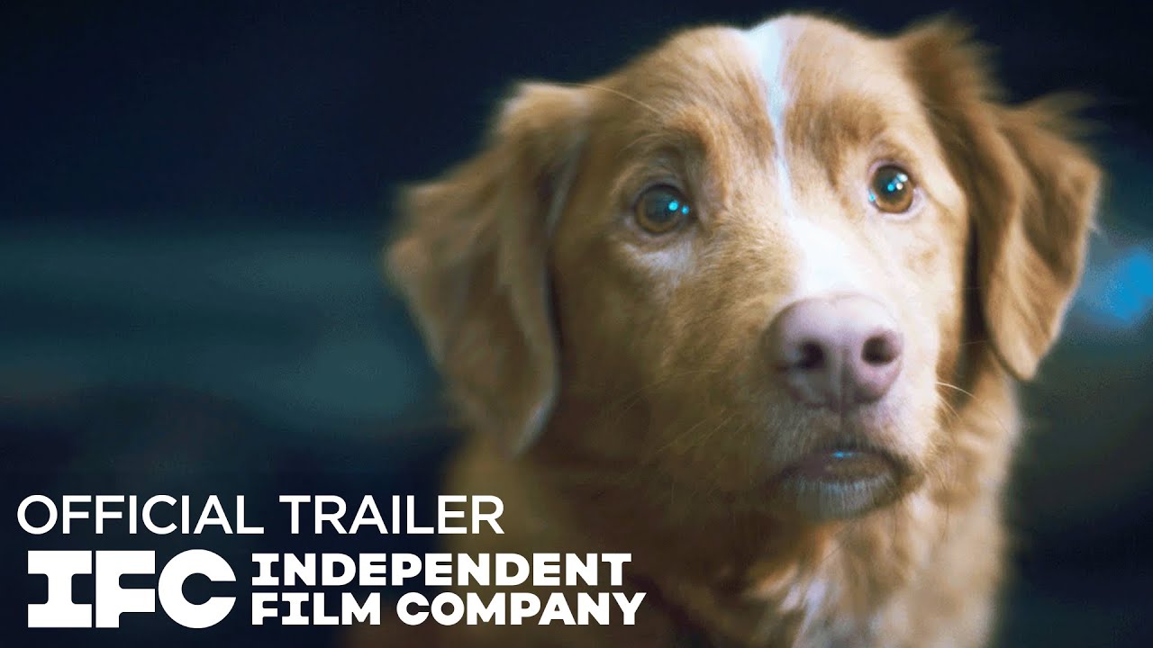 Good Boy - Official Trailer