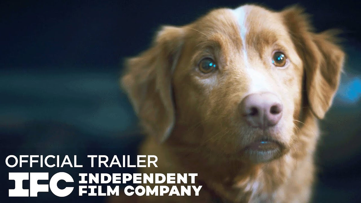 Good Boy - Official Trailer