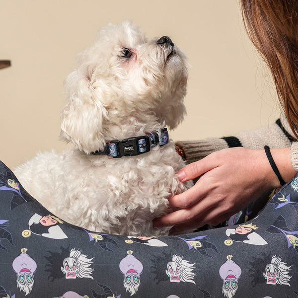 Dog collar Disney-7