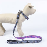 Dog collar Disney-3