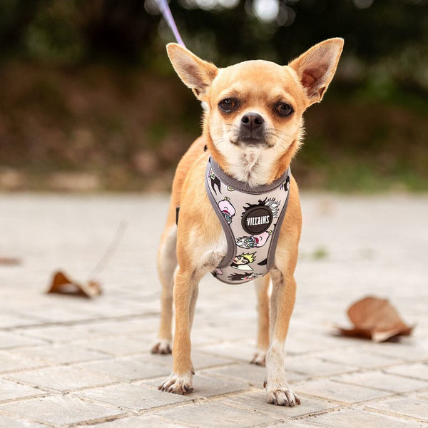 Dog Harness Disney-6