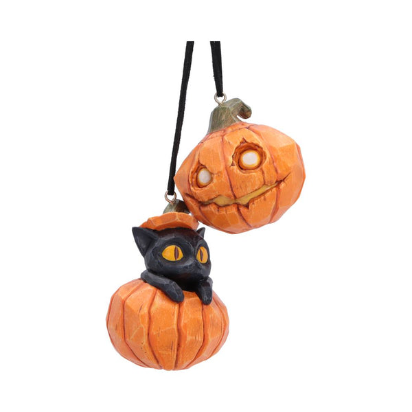 Pumpkin and Patch Hanging Ornaments (Set of 2)