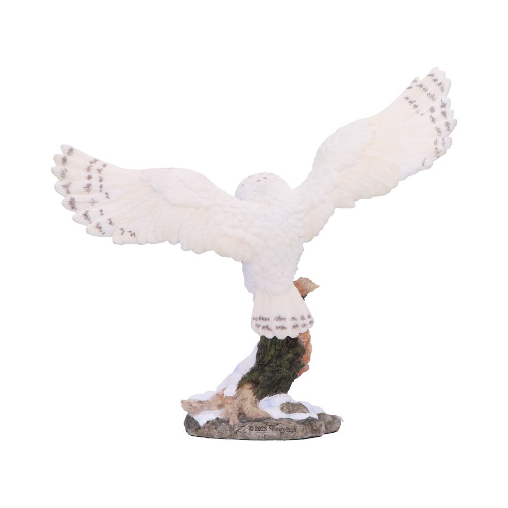 Snowfall - Majestic owl in winter scene