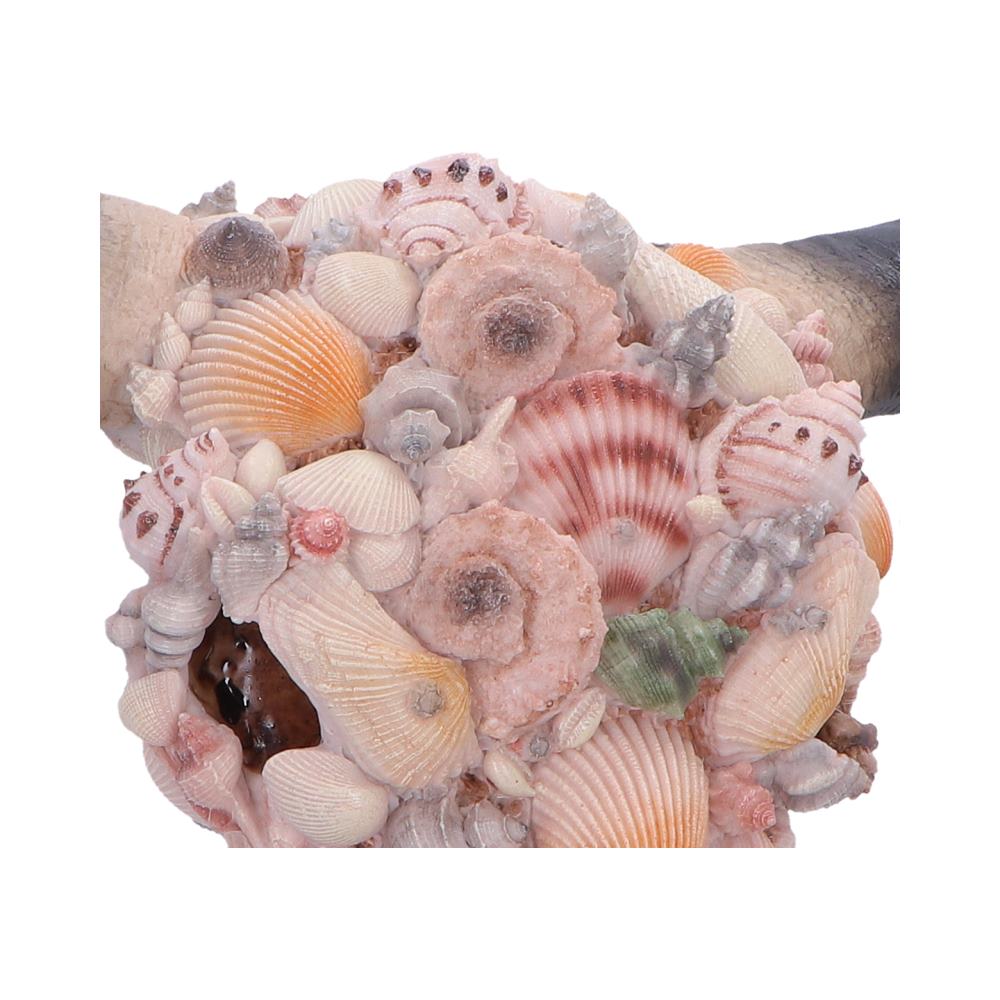 Ocean Crown Skull Ornament 44cm