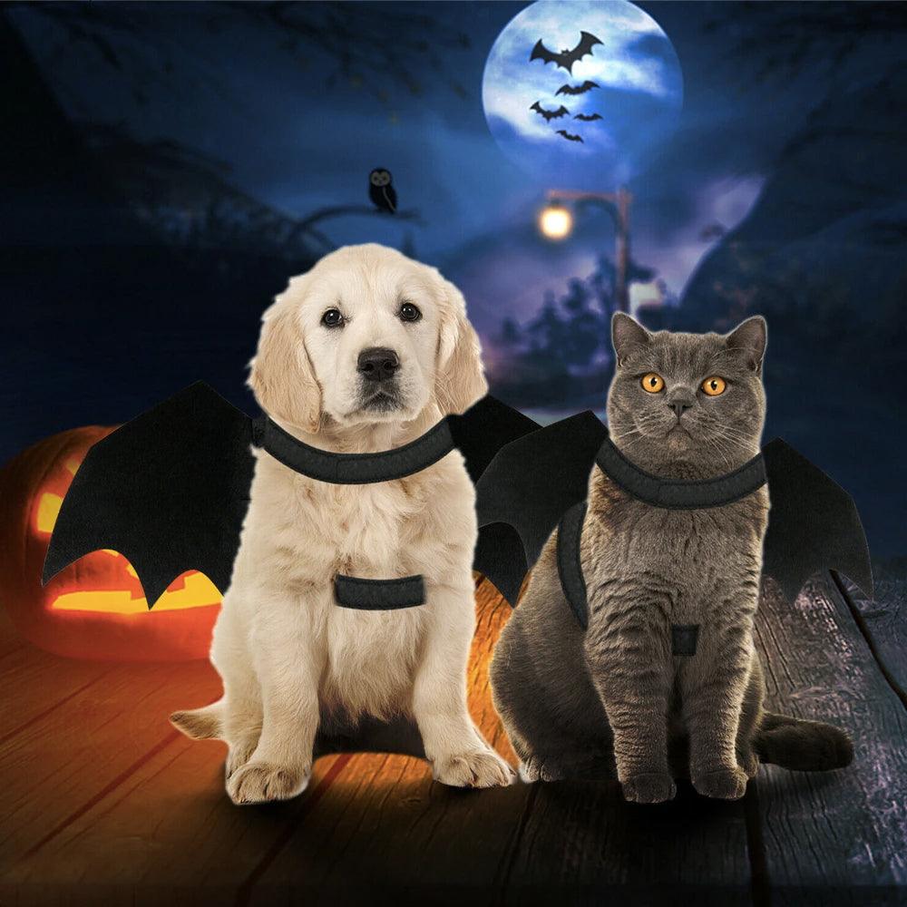 Halloween Pet Bat Wings Costume Cat and Dogs - Hollywood Box