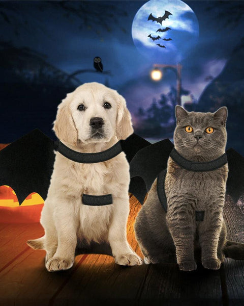 Halloween Pet Bat Wings Costume Cat and Dogs - Hollywood Box