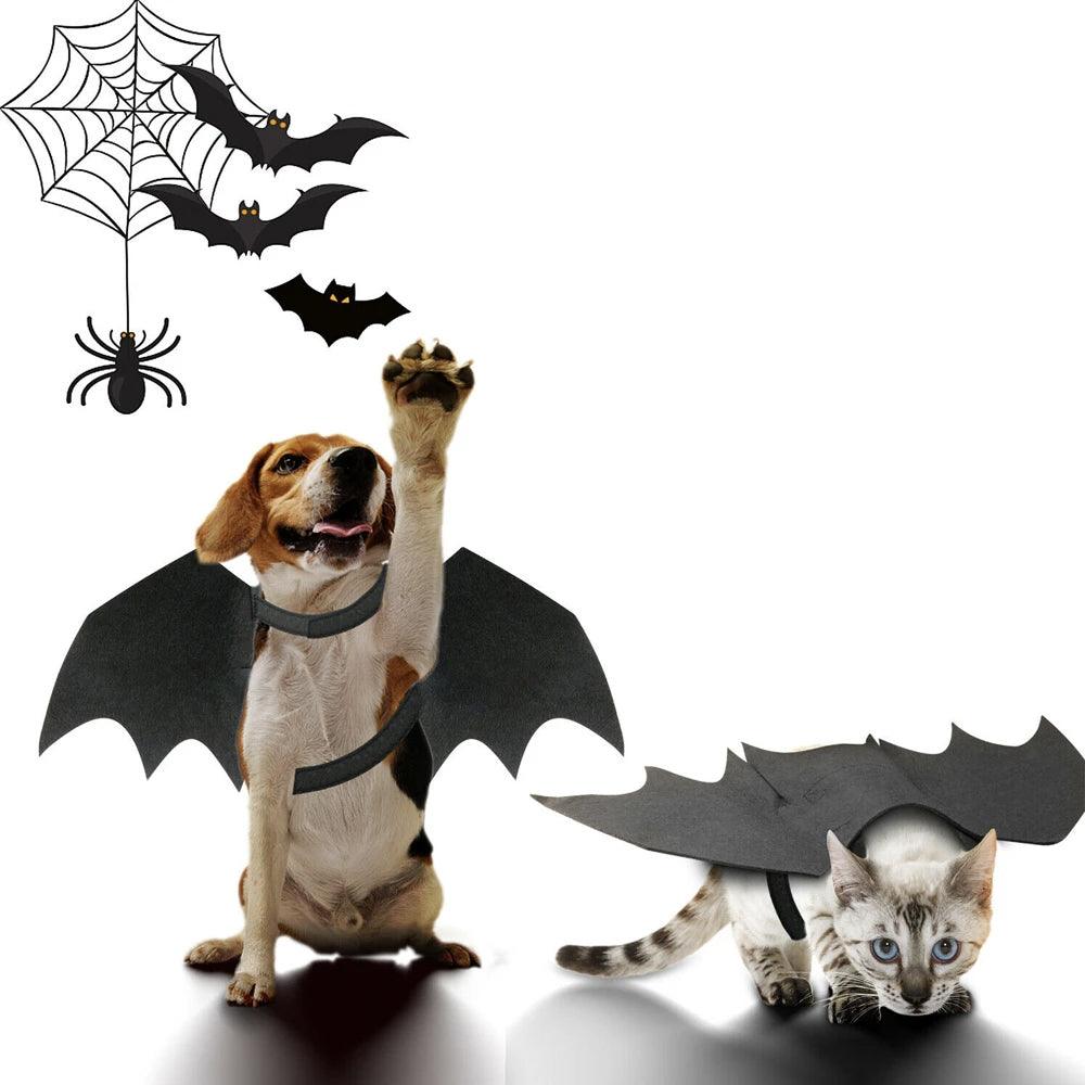 Halloween Pet Bat Wings Costume Cat and Dogs - Hollywood Box