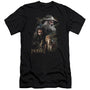 The Hobbit - Painting Short Sleeve Adult 30-1 Tee - Black - Medium