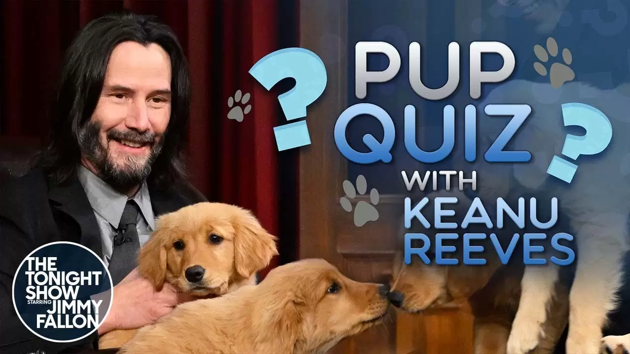 Pup Quiz with Keanu Reeves