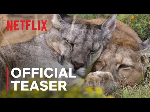 Our Planet II | Official Teaser 