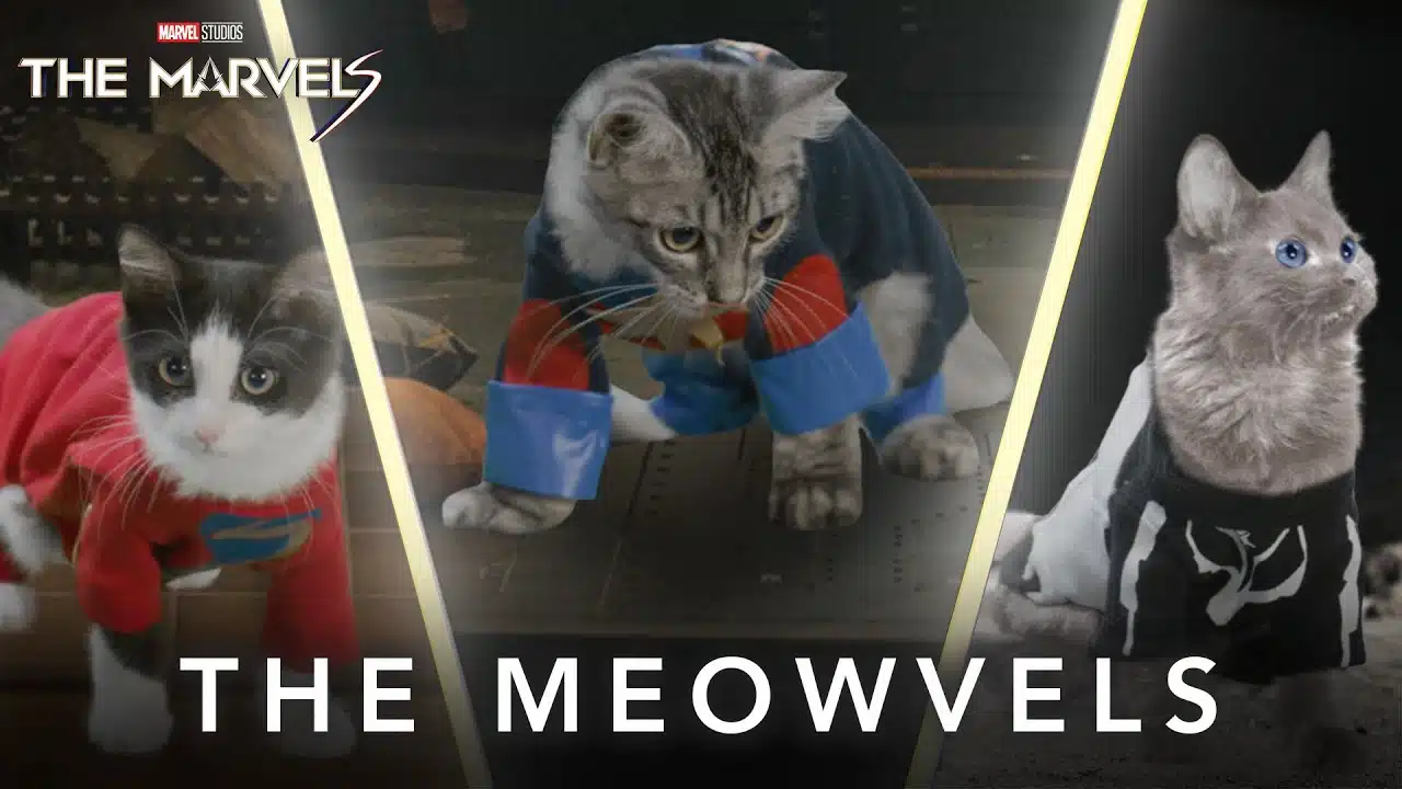 The Meowvels | Now Playing In Theaters