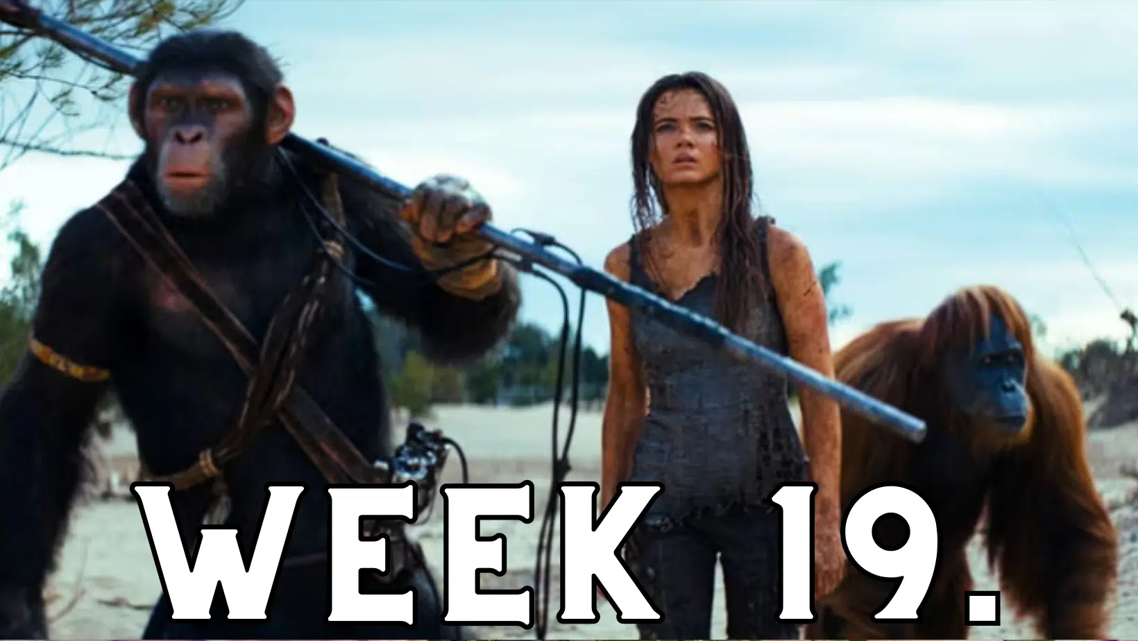 Week 19. – Movie News – Jedi Wick: The Survival, Minion Mayhem: Despicable Me 4 Excites Fans